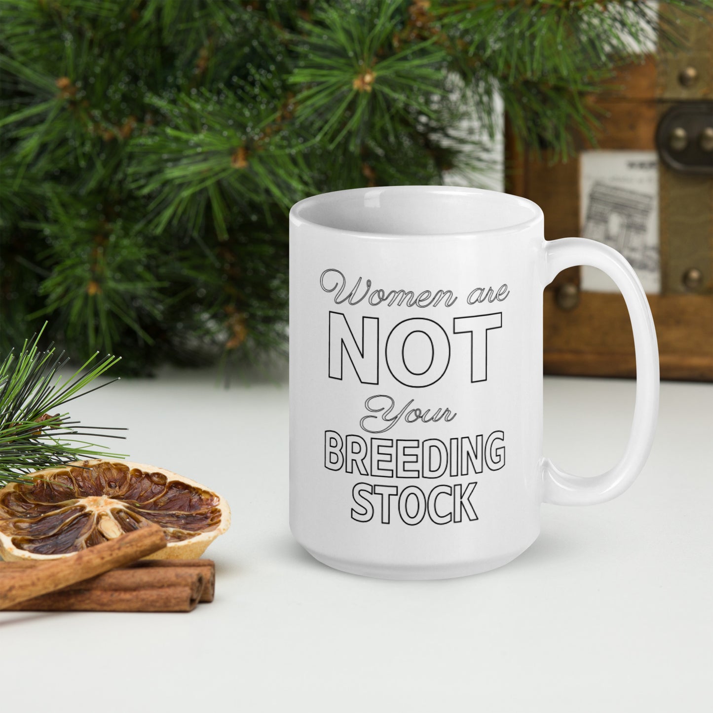 Women Are Not Your Breeding Stock Mug